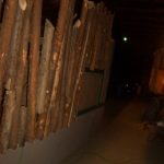 CIMG0130